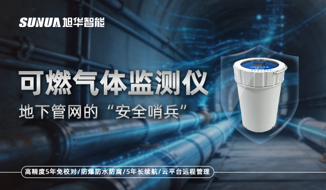 可燃气体监测仪