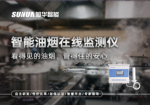 智能油烟在线监测仪：看得见的油烟，管得住的安心